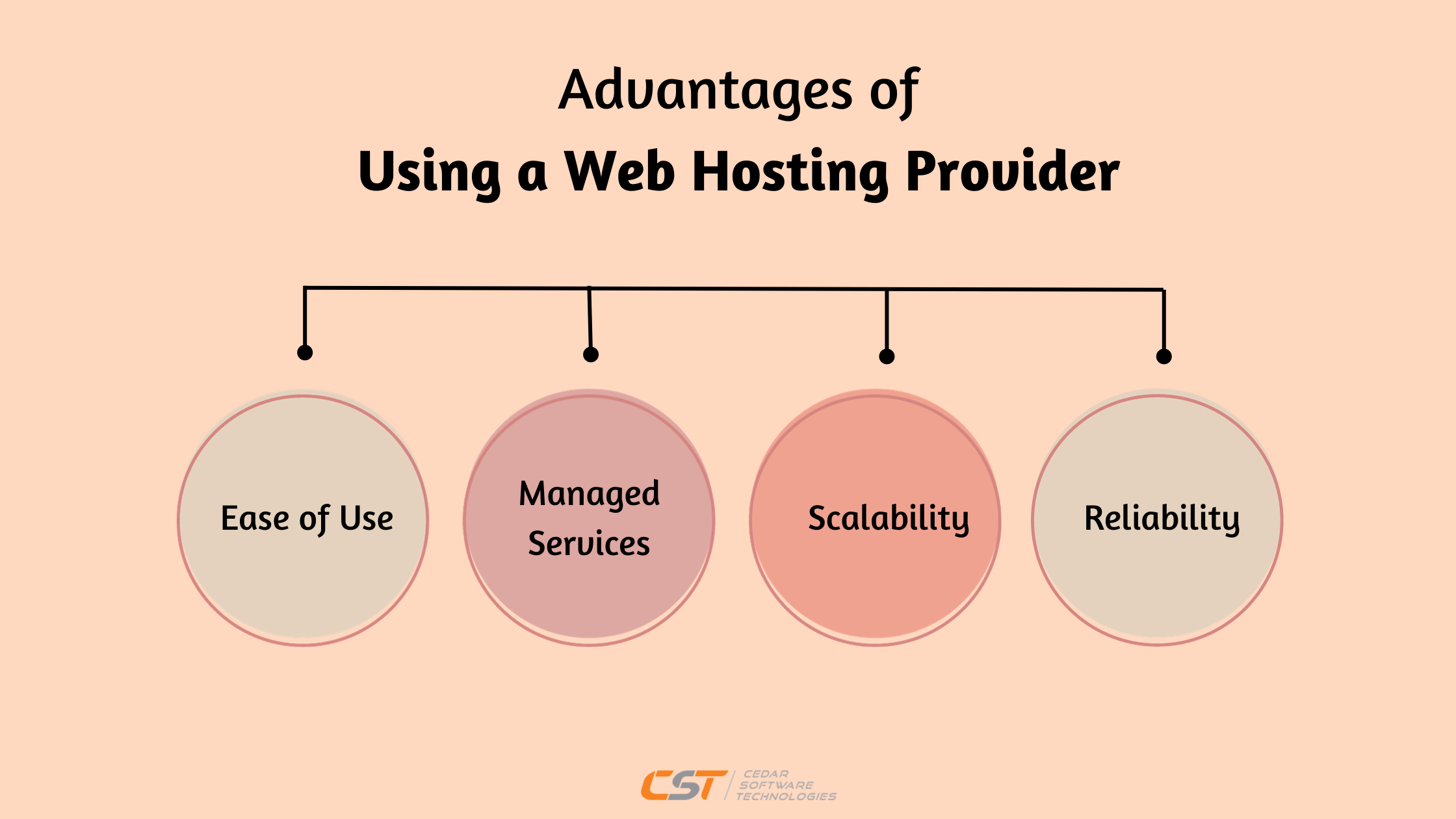 Advantages of Using a Web Hosting Provider