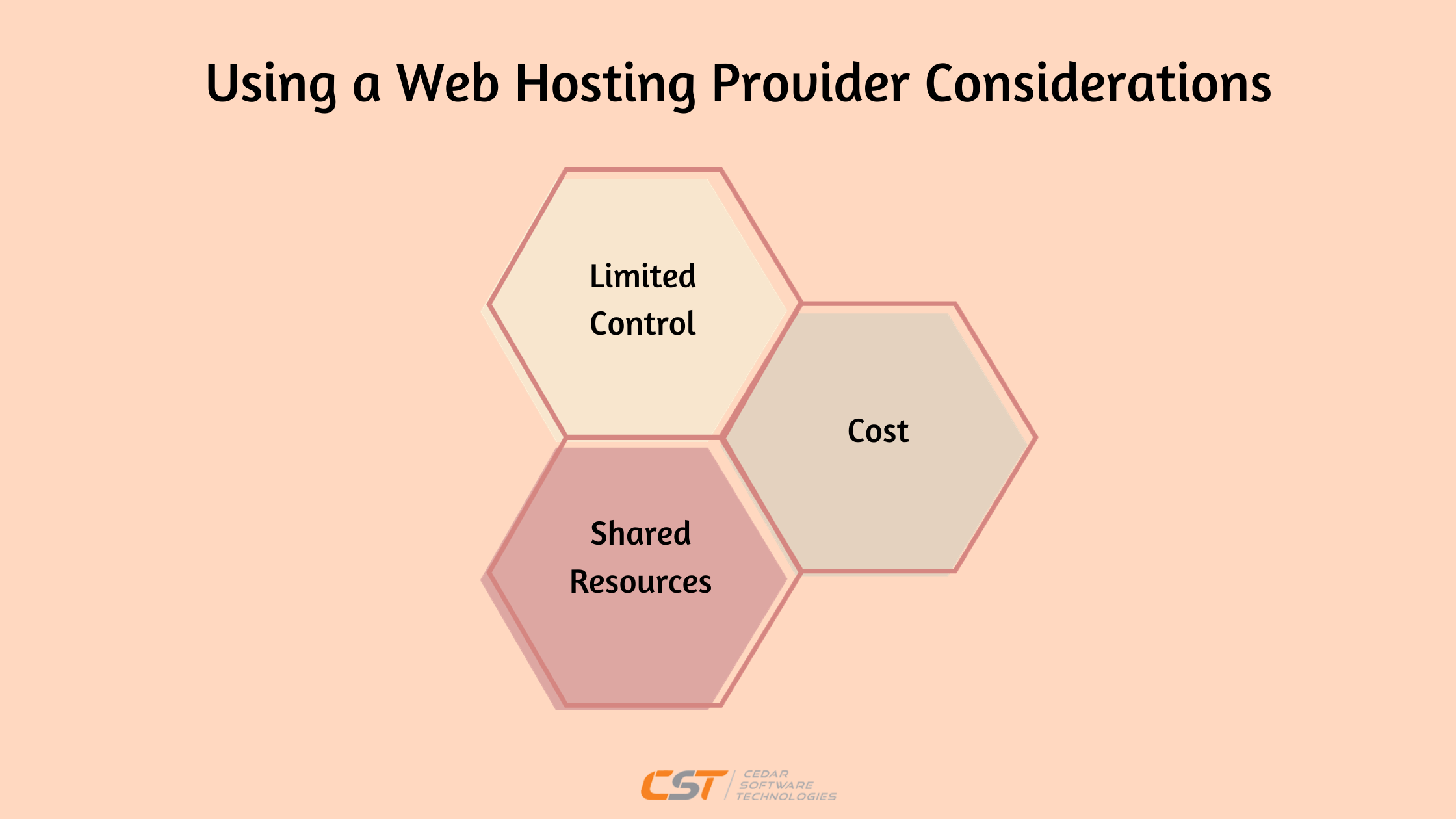 Using a Web Hosting Provider Considerations