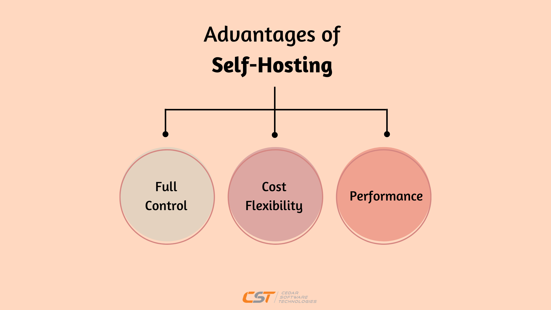 Advantages of Self-Hosting